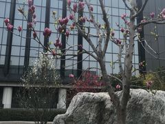 -华为西安研究所v4-食堂1