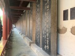-碑林公园