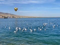 -青海湖国家重点风景名胜区
