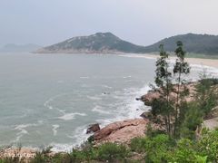 -广东惠东海龟国家级自然保护区