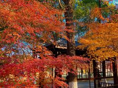 -凤凰沟景区
