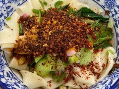 牛肉油泼扯面-马振面(小皮院店)