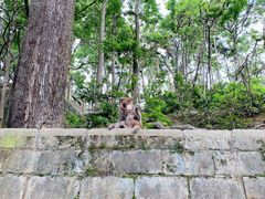 -黔灵山公园