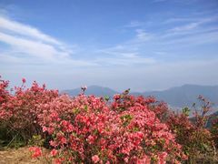 -瑞安圣井山景区