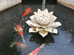 -西安市广仁寺