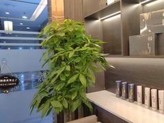 -鹿栖(佛山季华园店)