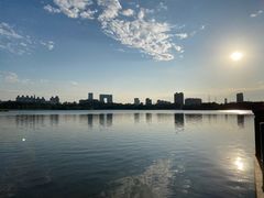 -海珠湖公园