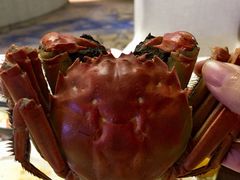 -龙佳生态温泉山庄