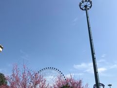 -国色天乡三期陆地乐园