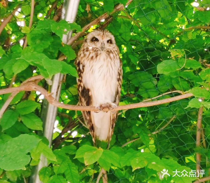 北京野生动物园图片
