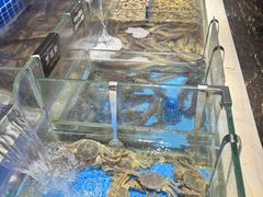 -加餐海鲜自助(宝龙一城店)