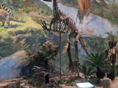 -自贡恐龙博物馆