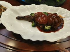 -丁老爷子苏香圆