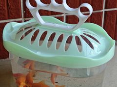 -一品烧农庄·佛山本地特色菜