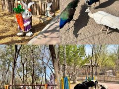 -水上乐园·欢乐世界