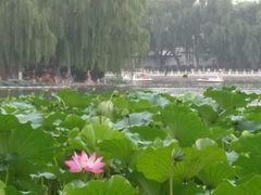 -小王府(什刹海店)