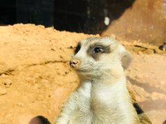 -济南野生动物世界