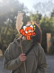 -镁连社·美联社