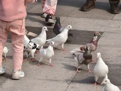 -江燕路万科里