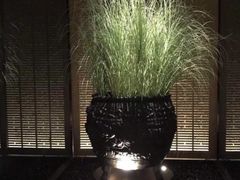 -足本纪·足道 SPA 简餐 小吃(百官广场店)