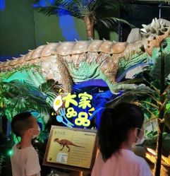 -恐龙探索乐园(磁器口店)