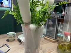 -探窝·竹笙椰子鸡(杨箕店)