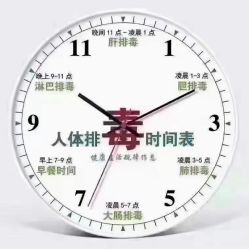 -香薇妮丝·定制减肥·身材管理