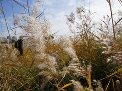 -赛汗塔拉风情园