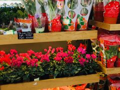 -Co.opmart (Cong Quynh)