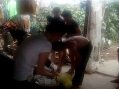 -马陆小张葡萄园农家乐