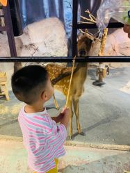 -酷嗒动物文化乐园(cutezoo西溪乐天城店)