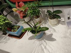 -川香鼎盛(市桥富华总店)