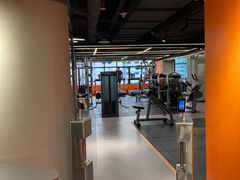 -健身专家Wellness Experts