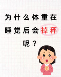 -Fundi张玉珊修身堂·indiba·BTL科技瘦身