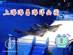 -上海海昌海洋公园