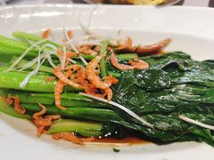 -北京老铺烤鸭(老城根店)