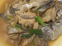 -阿南海鲜