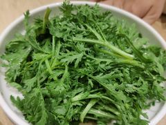 凉拌蓬蒿菜-金时代顺风大酒店(协泰店)