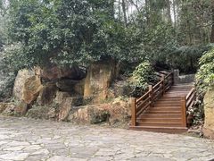 -潜山国家森林公园