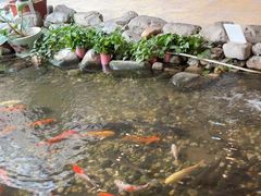-顺峰·粤菜海鲜·早茶自助(阜成店)