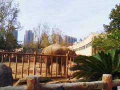 -南昌动物园