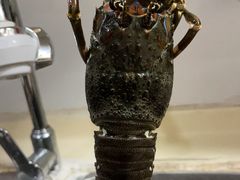 -黄沙水产交易市场