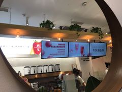 -树夏(金楠天街店)