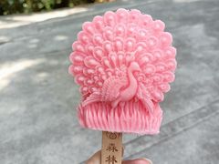 -西双版纳原始森林公园