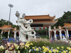 -深圳仙湖植物园