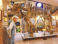 -信不信由你博物馆