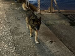 -华都海鲜酒家