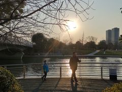 -映月湖中央公园