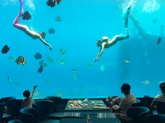 -瑞德姆美人鱼海底演艺主题餐厅(亚龙湾店)