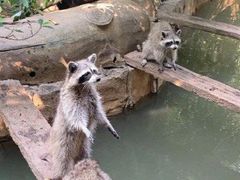 -长鹿旅游休博园